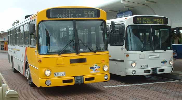 Adelaide Metro Mercedes O3O5 PMCSA 529